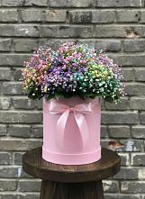 Цветочная композиция из Гипсофила и Розы в шляпной коробке в Александровке Наро-Фоминск