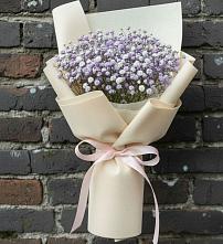 Букет цветов из:  Гипсофила в Александровке Наро-Фоминск