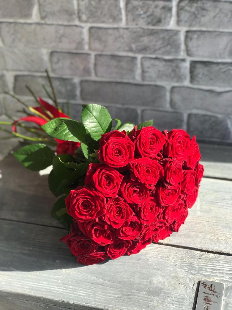 Букет Красные розы Фридом в Александровке Наро-Фоминск