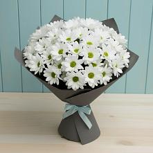 Букет цветов из:  Хризантемы #REPLACE_PRED# Александровке Наро-Фоминск