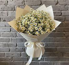 Букет цветов из:  Ромашки в Александровке Наро-Фоминск