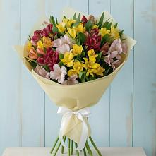 Букет цветов из:  Альстромерии в Александровке Наро-Фоминск
