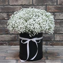 Цветочная композиция из Гипсофила в шляпной коробке #REPLACE_PRED# Александровке Наро-Фоминск