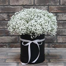 Цветочная композиция из Гипсофила в шляпной коробке в Александровке Наро-Фоминск