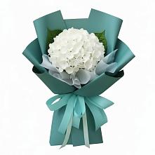 Букет цветов из:  Гортензия #REPLACE_PRED# Александровке Наро-Фоминск